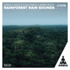 Rainforest Rain Sounds