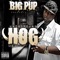 Money Right (feat. Mike Hustle) - Big Pup lyrics