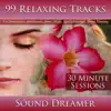 99 Relaxing Tracks (30 Minute Sessions) [For Relaxation, Meditation, Reiki, Yoga, Spa, Massage and Sleep Therapy] album lyrics, reviews, download