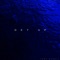 Get Up - Tamu Massif lyrics
