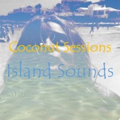 Island Sounds artwork