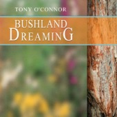 Bushland Dreaming artwork