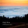 Only Now - Single album lyrics, reviews, download