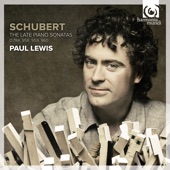 Schubert: The Late Piano Sonatas - Nos. 14 & 19-21 artwork