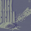 Black Cicada - EP