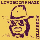 Living In A Haze (Acoustic Version) artwork