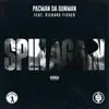 Spin Again (feat. Richard Fisher) - Single album lyrics, reviews, download