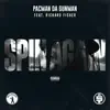 Stream & download Spin Again (feat. Richard Fisher) - Single