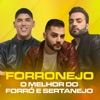 Esquema Preferido - Ao Vivo by Os Barões Da Pisadinha iTunes Track 5