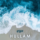 Hullám artwork