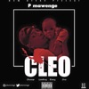 CLEO (Champion Leading EveryOne)