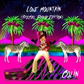 Love Mountain (Special Disko Mix) artwork