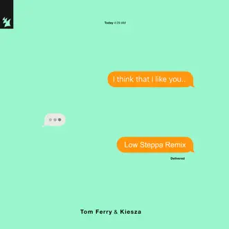 I Think That I Like You (Low Steppa Remix) by Tom Ferry & Kiesza song reviws