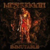 Meshuggah - They Move Below