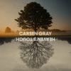 Carsen Gray - Heaven's Touch