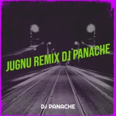 Jugnu (Remix) artwork