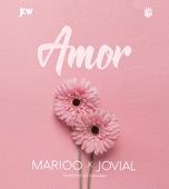 Mi Amor (feat. Jovial) artwork