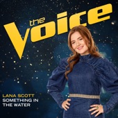 Something In The Water (The Voice Performance) artwork