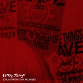 Little Things (Nia Archives Remix) artwork