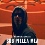 SUB PIELEA MEA