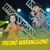 Tresno Waranggono (feat. Kevin Ihza) artwork