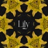 Lily - Single