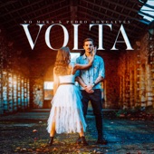 Volta artwork