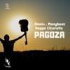 Peppe Citarella - Pagoza