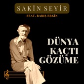 Dünya Kaçtı Gözüme (feat. Barış Erkin) artwork