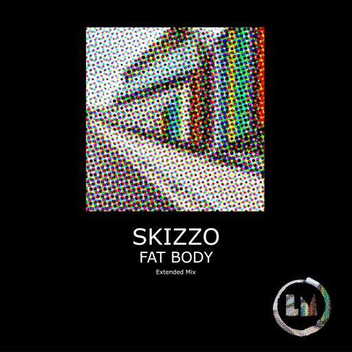 Fat Body (Extended Mixes) - Single by Skizzo