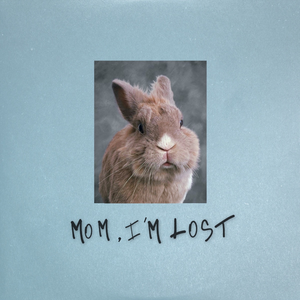 Pam Rabbit - Mom, I’m Lost
