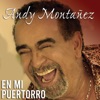 En Mi Puertorro (feat. Voltio) - Single