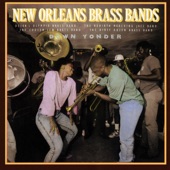 Dejan's Olympia Brass Band - No It Ain't My Fault (Live)