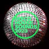 Disco House Sounds 2023 - Various Artists