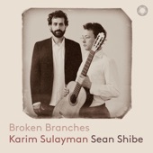 Broken Branches (Apple Exclusive) artwork