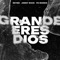 Grande Eres Dios (feat. Fe Mundo) cover