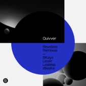 Revelate Remixes - EP artwork