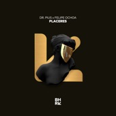 Placeres (feat. INSOLENTES) [Remix] artwork