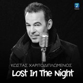 Lost in the Night artwork