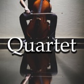 Quartet 6 artwork