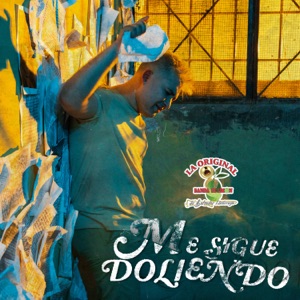 Me Sigue Doliendo - Single