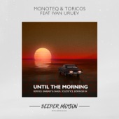 Until the Morning (Barbary & Shaen Remix) [feat. Ivan Uruev] artwork
