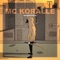 Flug - MC Koralle lyrics