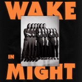 Wake in Might - Single