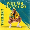 Why You Wanna Go - Single
