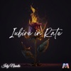 Iubire in Rate - Single