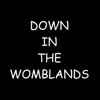 Down In the Womblands - Single album lyrics, reviews, download