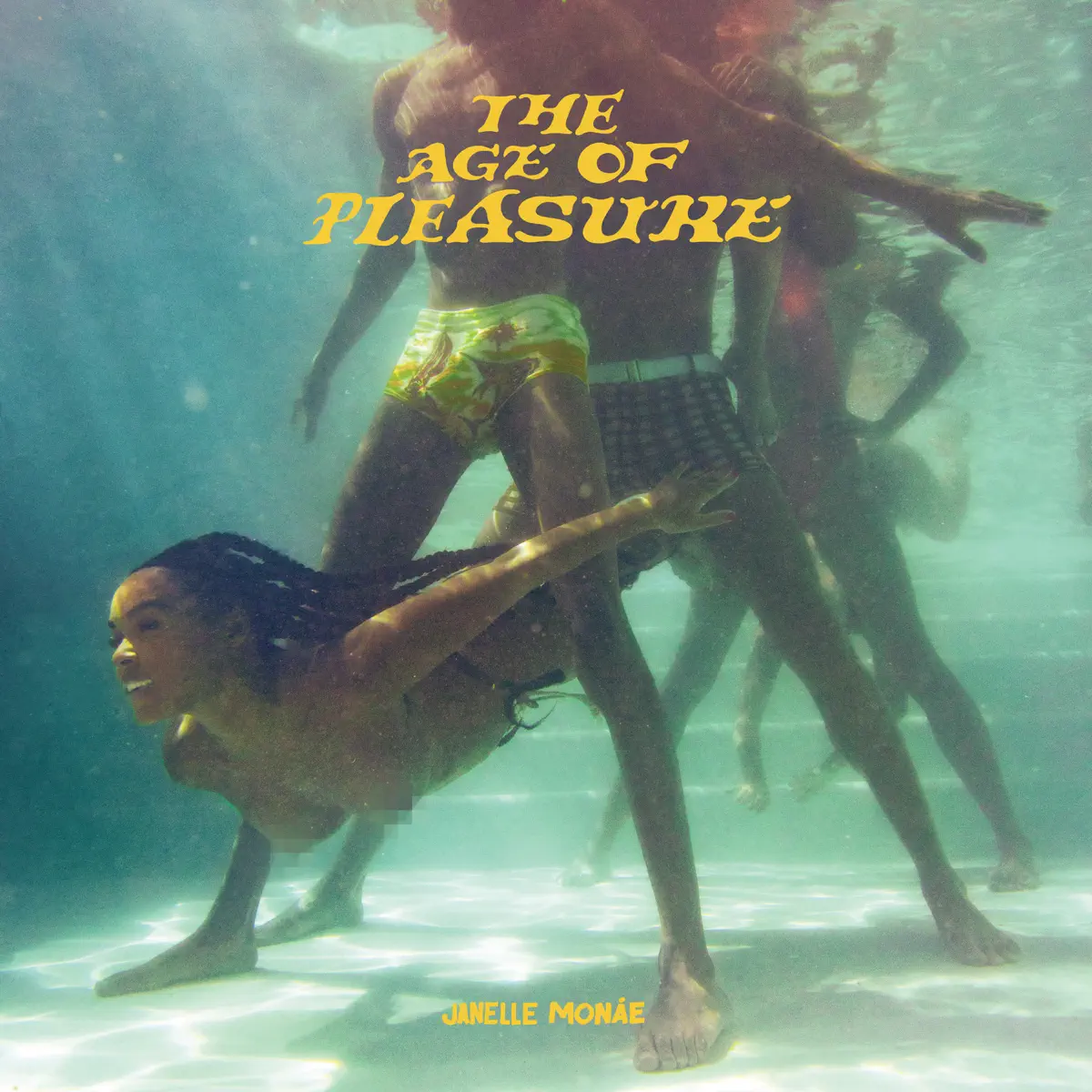 Janelle Monáe - The Age of Pleasure (2023) [iTunes Plus AAC M4A]-新房子