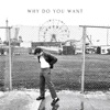 Why Do You Want - Single