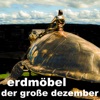 Der große Dezember - Single